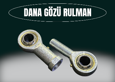 DANA GÖZÜ KAFA RULMANI